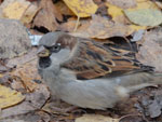 2014-10-02_14-03-49_S0099025.jpg