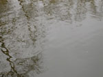2014-10-02_14-24-59_S0010002.jpg