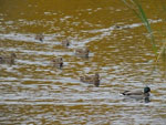 2014-10-02_14-26-09_S0100017.jpg