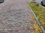 2014-10-02_14-33-27_S0160023.jpg