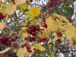 2014-10-02_15-50-32_S0201025.jpg