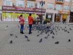 2014-10-02_15-56-30_S0341064.jpg