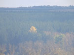2014-10-06_14-24-00_S0435070.jpg
