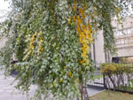 2014-10-07_17-17-31_S0667100.jpg