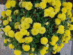 2014-10-12_13-49-46_S0691199.jpg