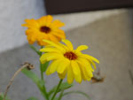 2014-10-12_13-50-03_S0711201.jpg