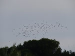 2014-10-13_17-58-01_S0471350.jpg