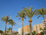 2014-10-13_18-05-07_S0871441.jpg