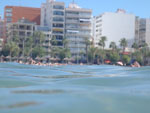 Photos