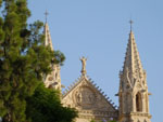 Photos