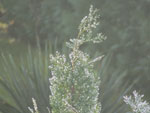 2014-10-24_09-15-39_S0336510.jpg