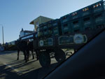 2014-10-28_10-25-08_S0236615.jpg
