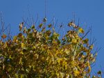 2014-10-28_10-40-07_S0386634.jpg