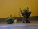 2014-10-28_10-40-41_S0416638.jpg