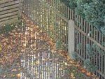 2014-10-28_10-50-09_S0606673.jpg