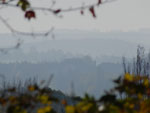 2014-10-28_10-51-54_S0646678.jpg