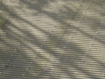 2014-10-28_10-53-39_S0666682.jpg
