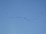 2014-10-28_10-59-36_S0806708.jpg