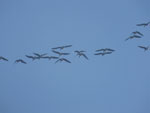 2014-10-28_10-59-42_S0826716.jpg