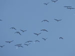 2014-10-28_10-59-47_S0836732.jpg