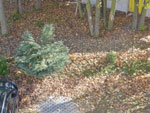 2014-10-28_12-42-05_S0027002.jpg