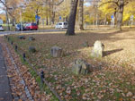 2014-11-09_15-31-36_S0137288.jpg