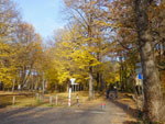 2014-11-09_15-32-05_S0147289.jpg