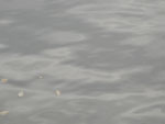 2014-11-12_16-07-19_S0850128.jpg
