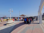 2014-11-20_08-32-01_S0593108.jpg