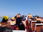 2014-11-20_09-07-07_S0653115.jpg