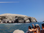 2014-11-20_09-44-03_S0104039.jpg