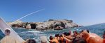 2014-11-20_09-48-10_S0514201-pan.jpg