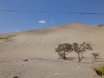 2014-11-20_13-02-59_S0915224.jpg