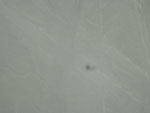 2014-11-21_12-53-47_S0635393.jpg