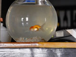2014-11-24_16-41-21_S0257029.jpg