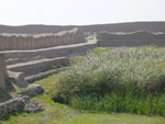 Photos