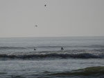 2014-11-26_16-45-06_S0569117.jpg