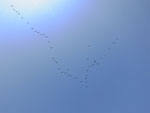 2014-11-29_14-20-10_S0940956.jpg