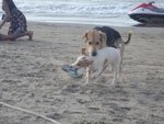 Photos