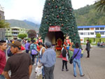 2014-12-20_15-06-50_S0723648.jpg