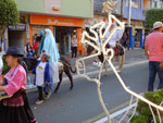 Photos