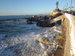 Photos