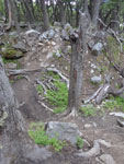 2015-01-09_19-08-48_IMGP6757.jpg