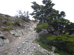 2015-01-10_12-00-06_IMGP6808.jpg