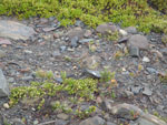 2015-01-10_13-56-21_IMGP6831.jpg