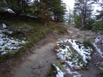 2015-01-11_06-07-57_IMGP6951.jpg