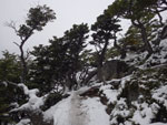 2015-01-11_07-07-33_IMGP6958.jpg