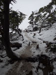 2015-01-11_07-08-40_IMGP6959.jpg