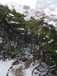 2015-01-11_08-18-55_IMGP6988.jpg