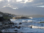 Photos